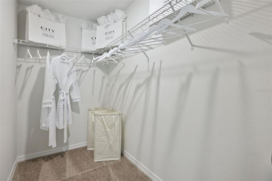 Spacious, unfurnished interior of a new home in Avalon Park Tavares, Tavares (Image 19).