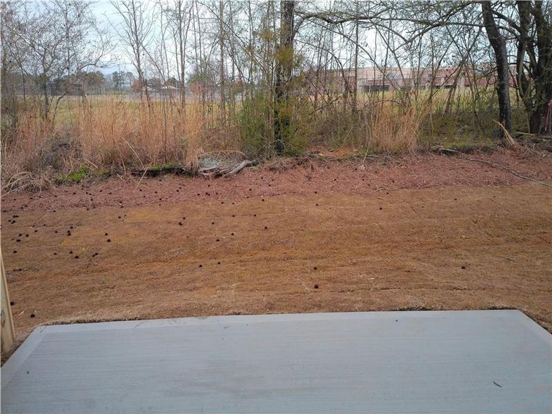 Site preparation for new homesites in Lake Shore, Winder (Image 23).