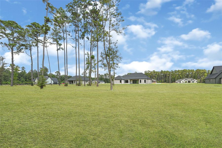 Natural landscape and outdoor views near  in Conroe (Image 25).