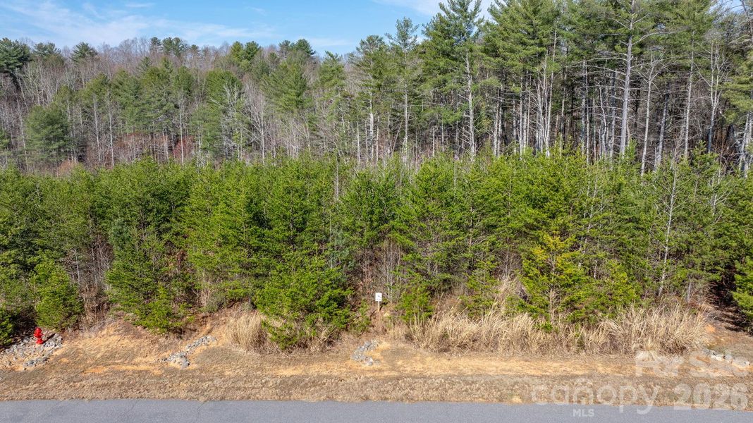 Natural landscape and outdoor views near  in Morganton (Image 15).