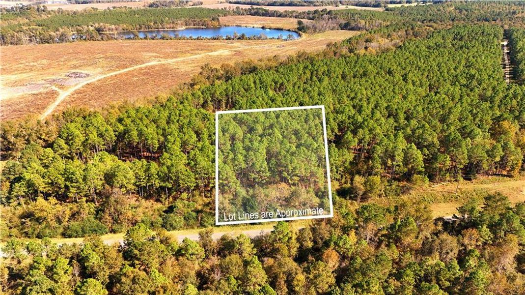 Natural landscape and outdoor views near  in Chester (Image 26).