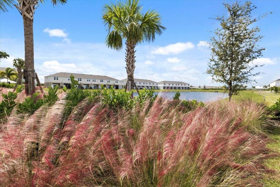 Natural landscape and outdoor views near in Bradenton (Image 57). Natural landscape and outdoor views near in Bradenton (Image 57).