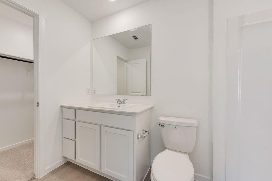 Bathroom with vanity, a walk in closet, and light wood-style floors