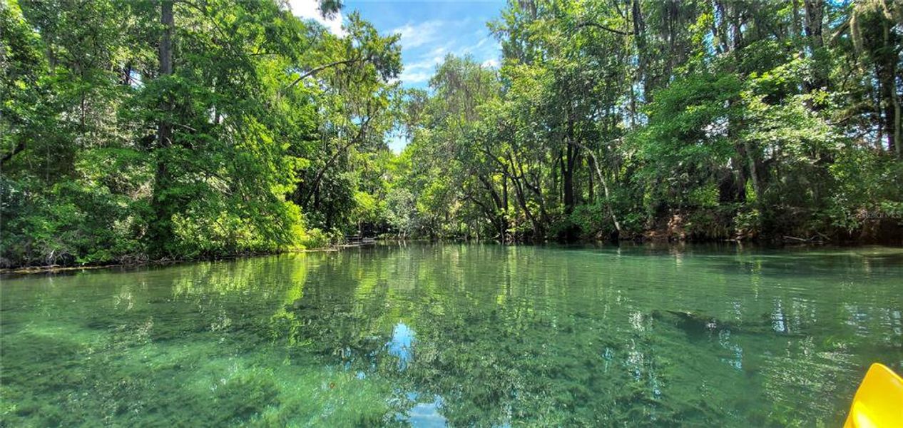 Natural landscape and outdoor views near  in Dunnellon (Image 41).