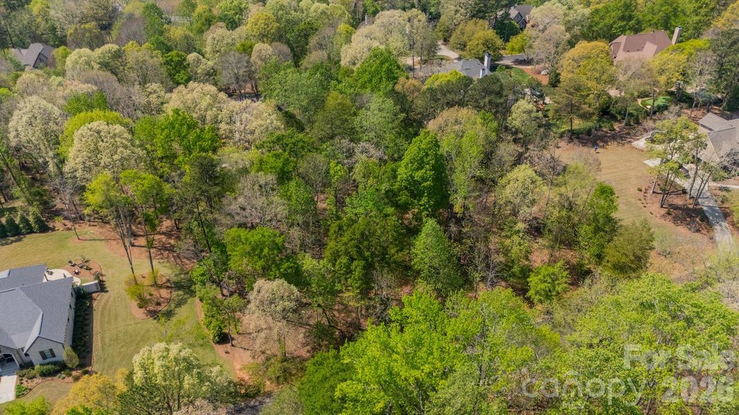 Natural landscape and outdoor views near  in Belmont (Image 7).