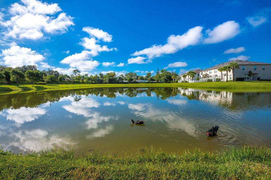 Natural landscape and outdoor views near  in West Palm Beach (Image 21).