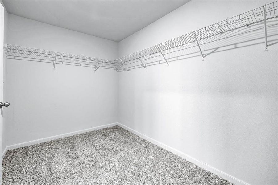 Walk in closet with carpet