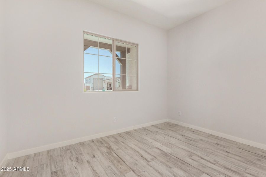 23 - Royal Palm 23 - Royal Palm