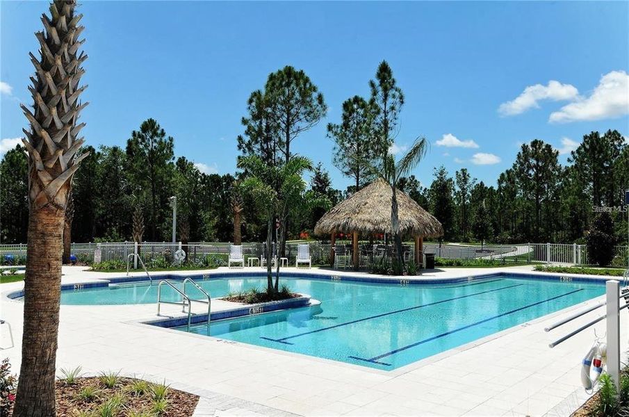 Community amenities in , Venice (Image 34).