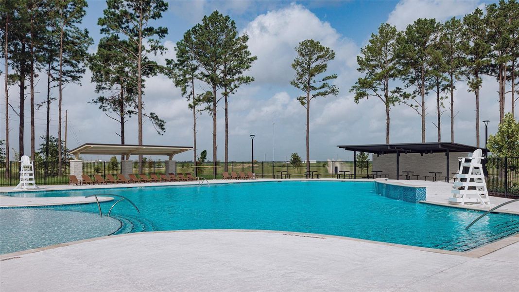 Gorgeous neighborhood pool.
