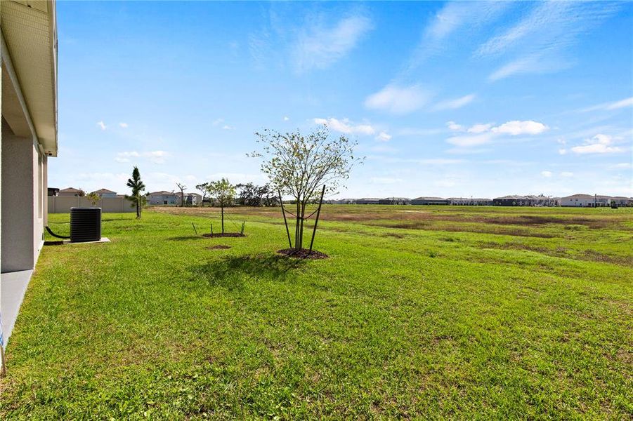 Exterior details and patio area of a home in , Wesley Chapel (Image 24). Exterior details and patio area of a home in , Wesley Chapel (Image 24).