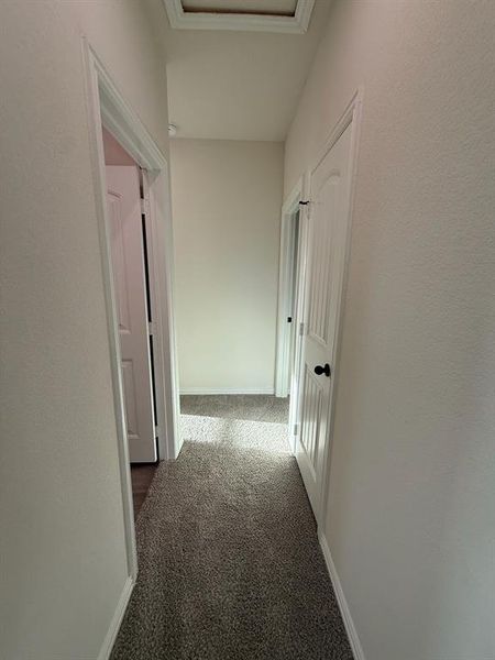 Hallway with carpet flooring and attic access Hallway with carpet flooring and attic access