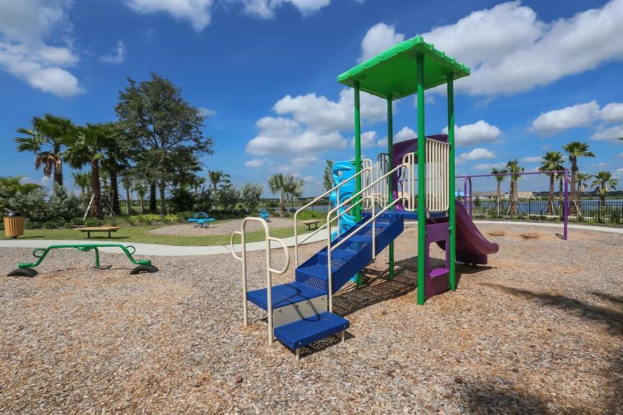 Community amenities in , Apollo Beach (Image 79).