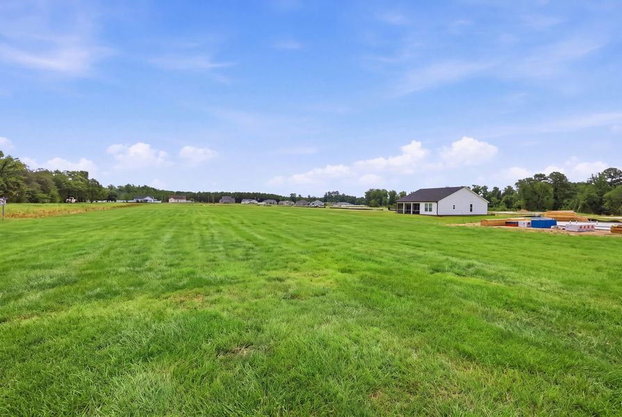 Natural landscape and outdoor views near Oak Grove in Conway (Image 31).