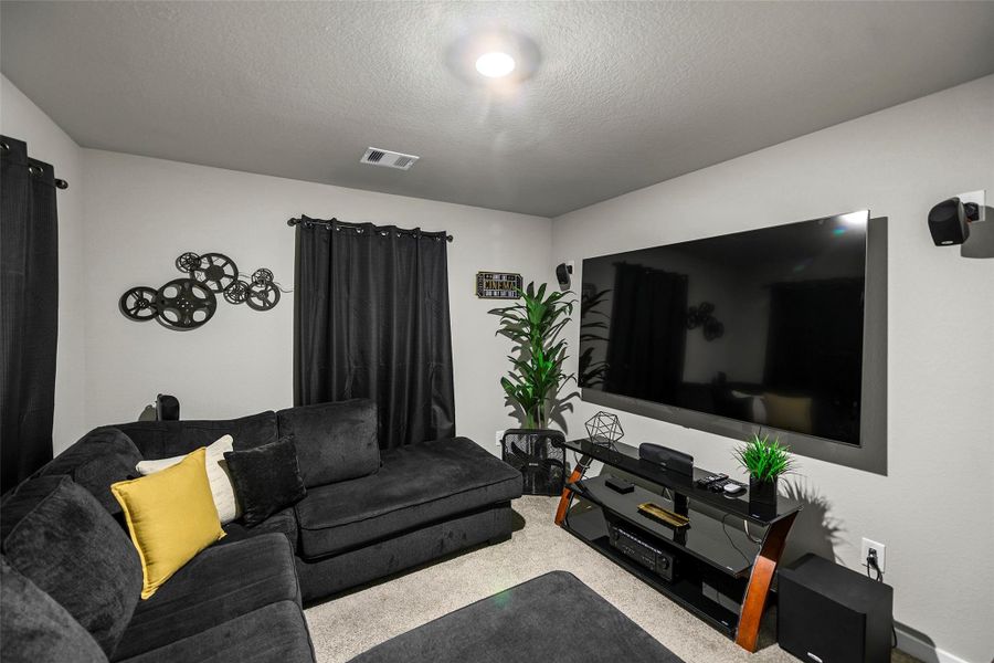 Media room featuring a large wall for mounting your, perfect for entertaining or relaxing movie nights.