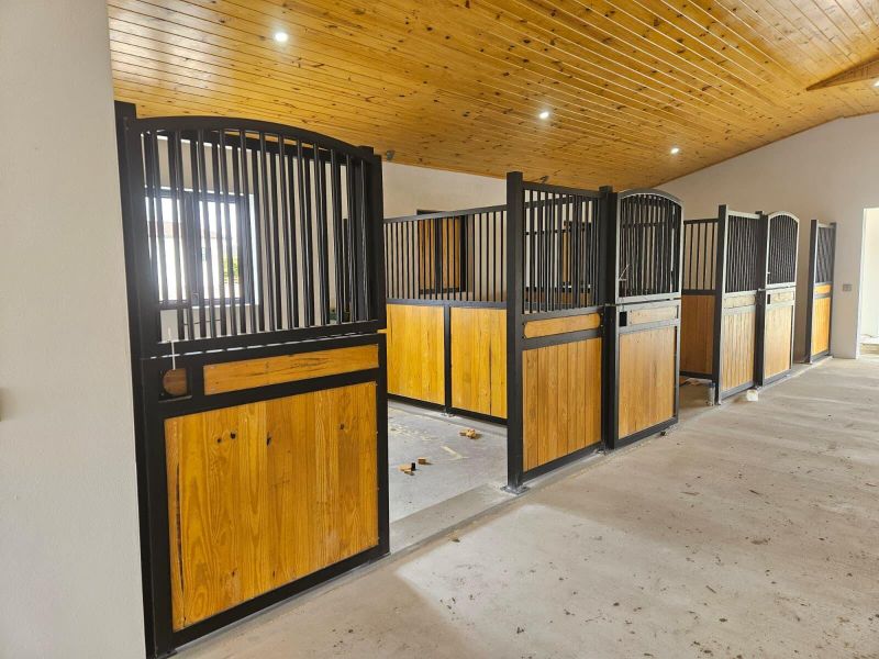 PHOTO-2026-04-07-13-53-22 5