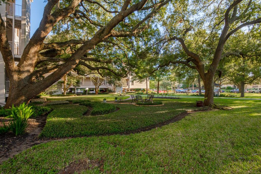 Natural landscape and outdoor views near  in Houston (Image 6).