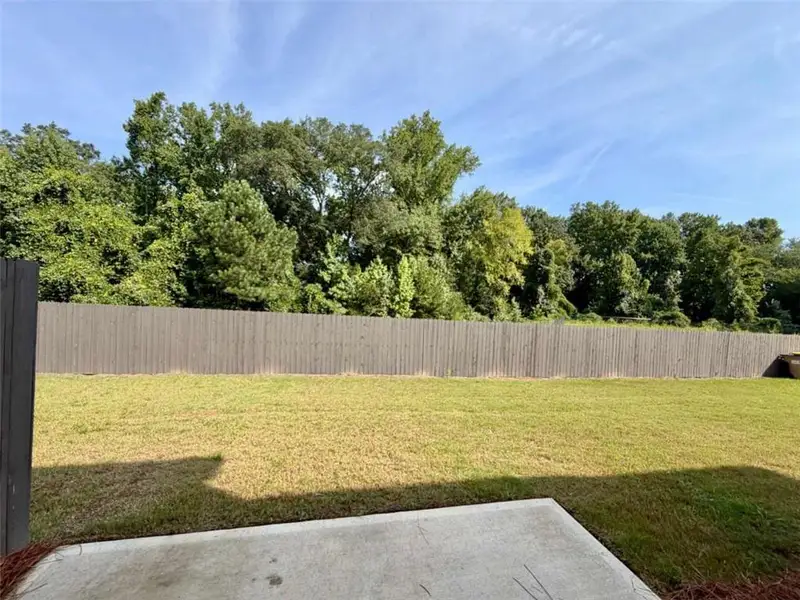 Exterior details and patio area of a home in , Hoschton (Image 4).