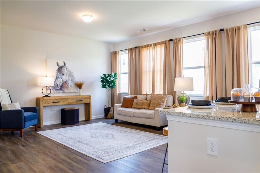 Furnished interior view inside a new home in Enclave at Dawson Forest, Dawsonville (Image 13). Furnished interior view inside a new home in Enclave at Dawson Forest, Dawsonville (Image 13).