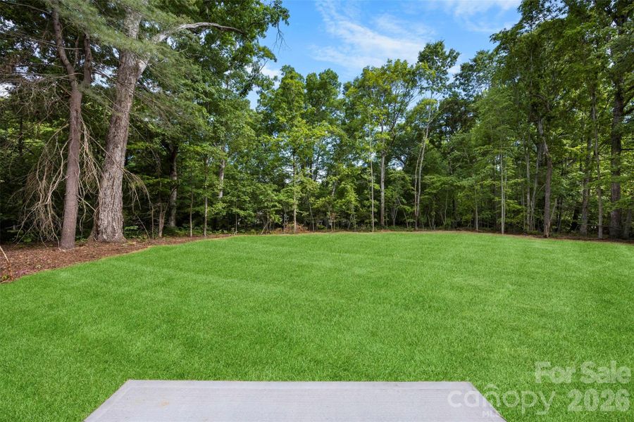 Natural landscape and outdoor views near  in Statesville (Image 37).