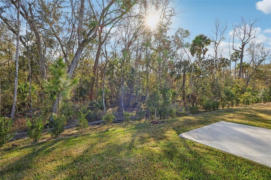 Natural landscape and outdoor views near  in Brooksville (Image 31).