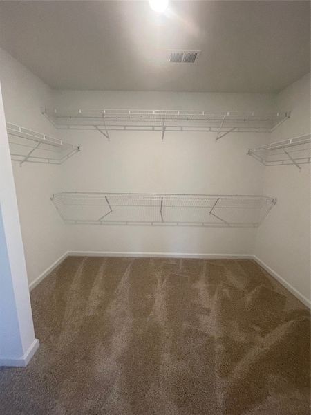 Spacious, unfurnished interior of a new home in Springwood Grove, Central (Image 31). Spacious, unfurnished interior of a new home in Springwood Grove, Central (Image 31).