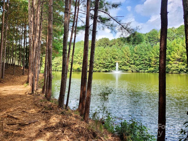 Back yard cleared with pond view