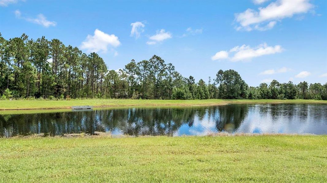 Natural landscape and outdoor views near  in Daytona Beach (Image 38).
