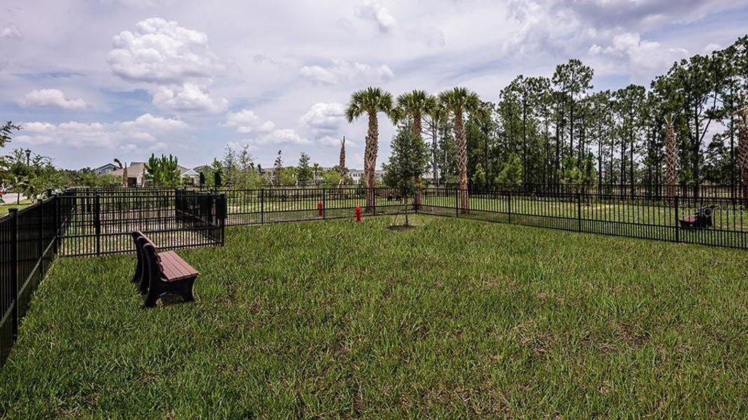 Community amenities in Harvest at Ovation, Winter Garden (Image 46).