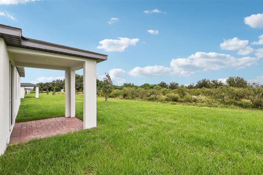 Exterior details and patio area of a home in Hamilton Bluff - Signature Series, Lake Hamilton (Image 21).