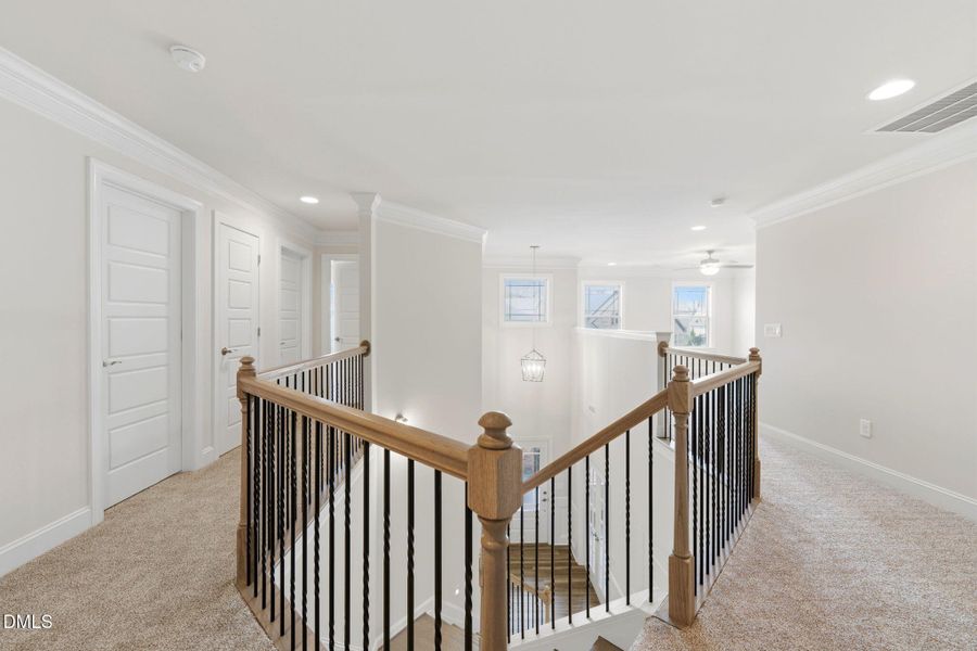 50-web-or-mls-DSC06371