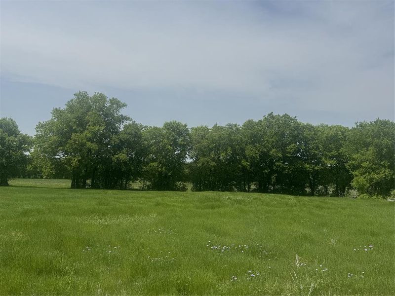 Natural landscape and outdoor views near in Decatur (Image 6). Natural landscape and outdoor views near in Decatur (Image 6).