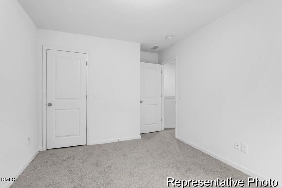 201 Surfbird -Tidalcreekphoto- (26)_REP 201 Surfbird -Tidalcreekphoto- (26)_REP