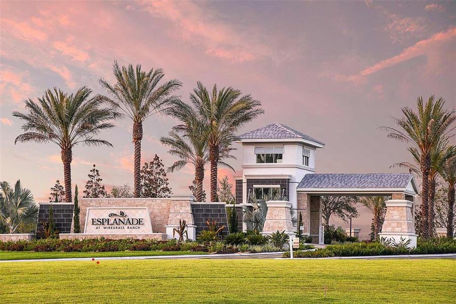 Image 38 of a home in Esplanade at Wiregrass Ranch.