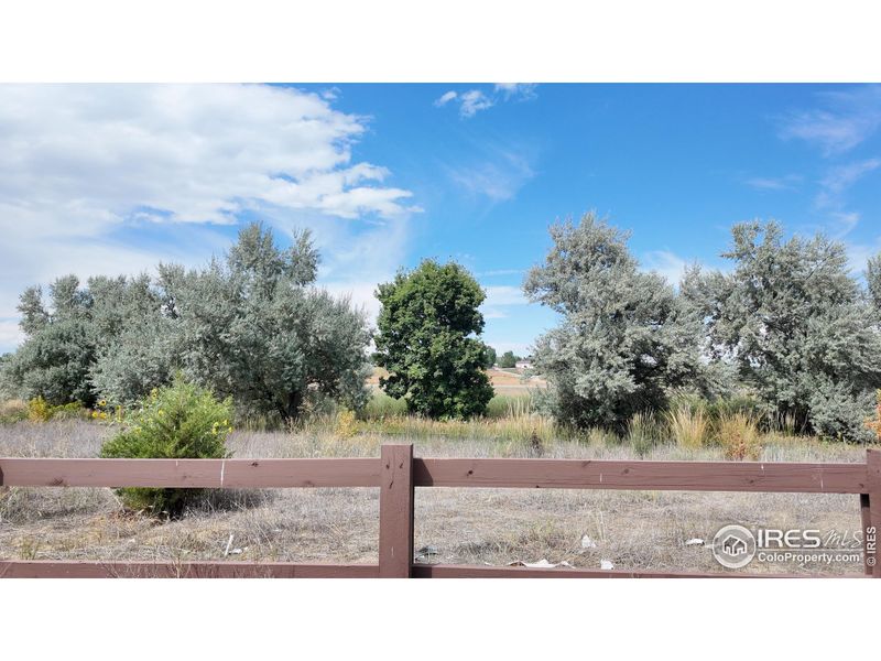 Backyard open space view