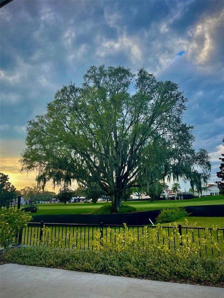 Natural landscape and outdoor views near in Orlando (Image 26). Natural landscape and outdoor views near in Orlando (Image 26).