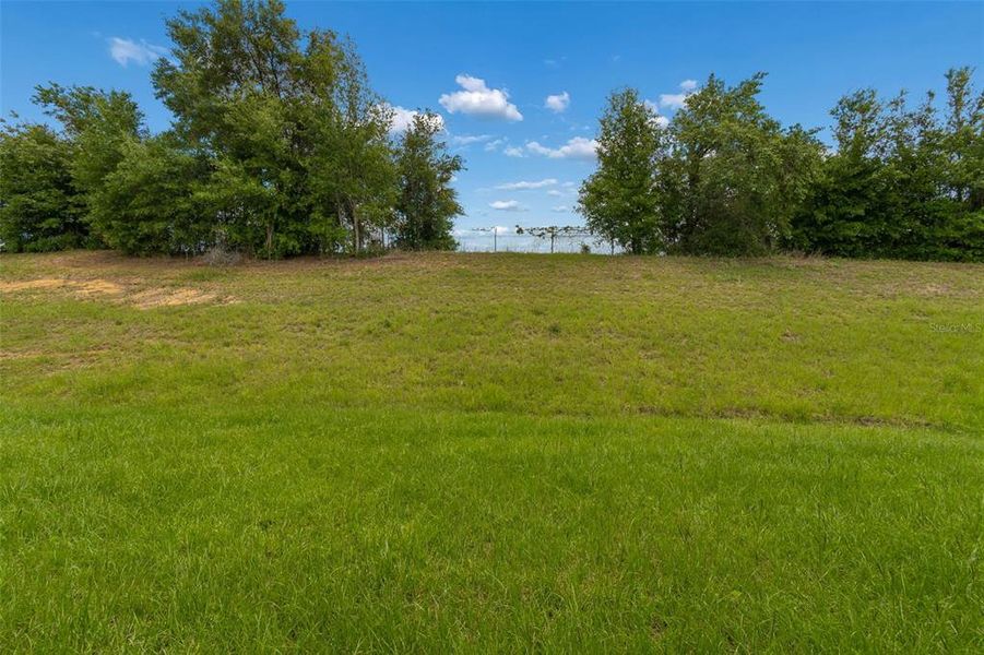Natural landscape and outdoor views near Abbey Glen in Dade City (Image 78).