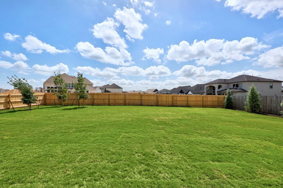 Backyard Backyard