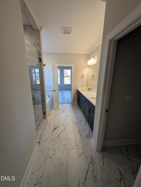 PXL_20251120_142848377 PXL_20251120_142848377