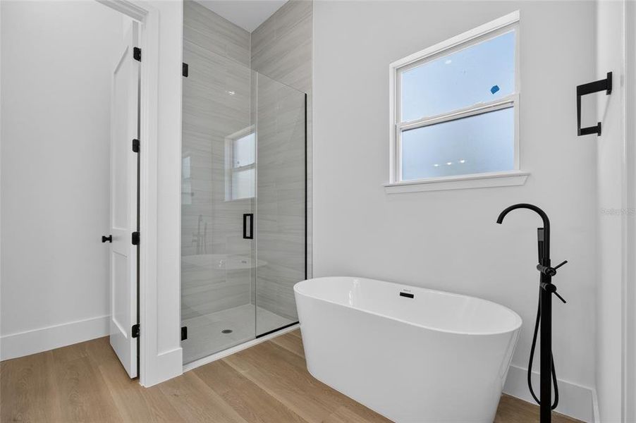 Furnished interior view inside a new home in , Port Charlotte (Image 11).