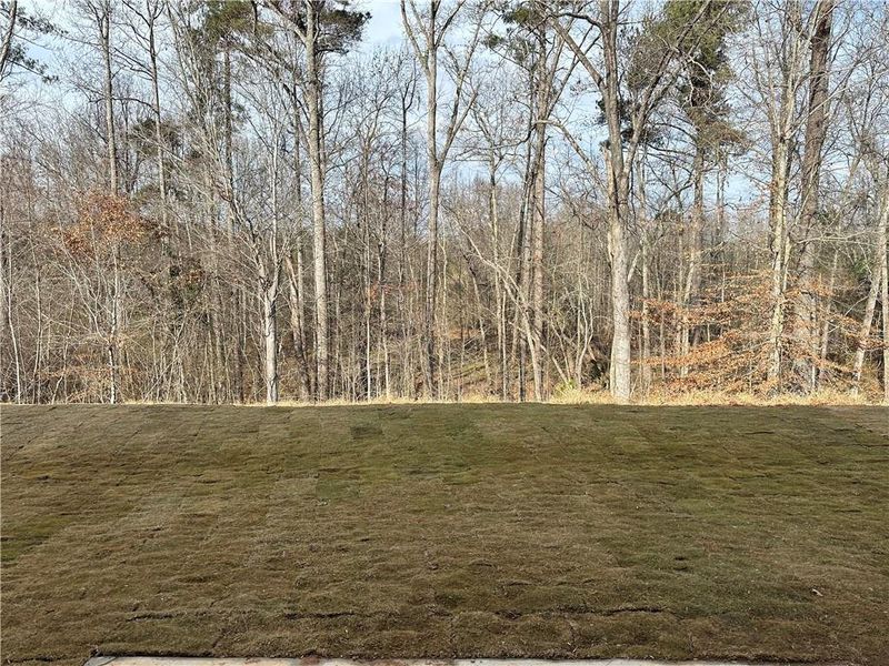 Natural landscape and outdoor views near Millstone at Mundy Mill in Gainesville (Image 35).