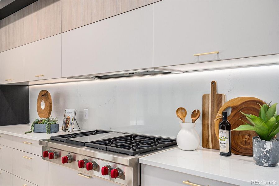 Gas range with vent hood