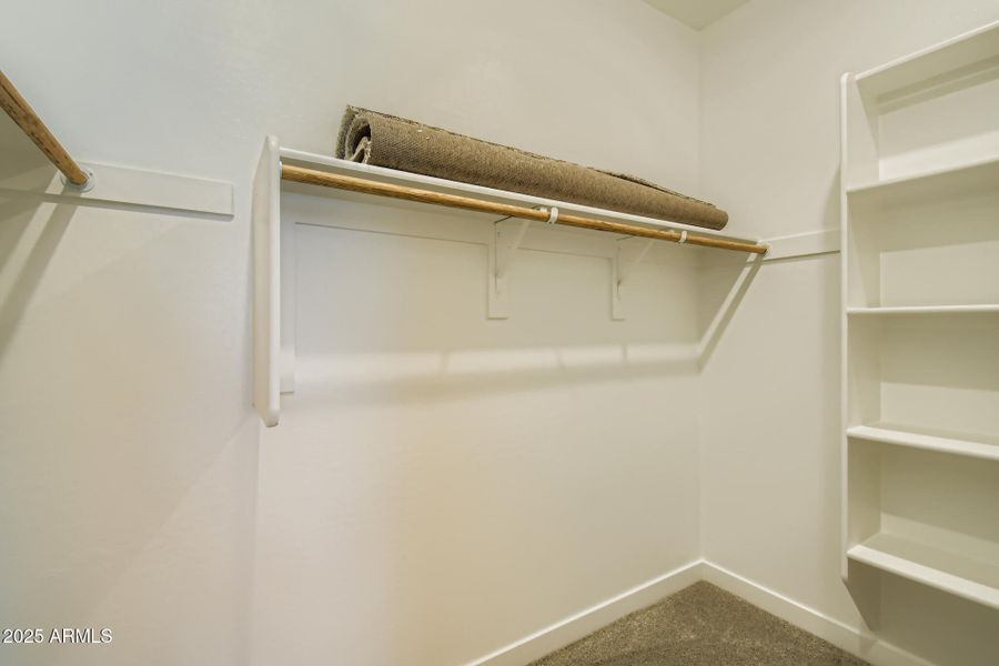 Owners Walk in Closet