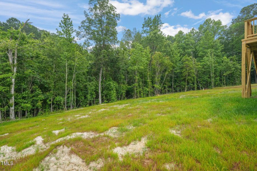 34-web-or-mls-untitled-30