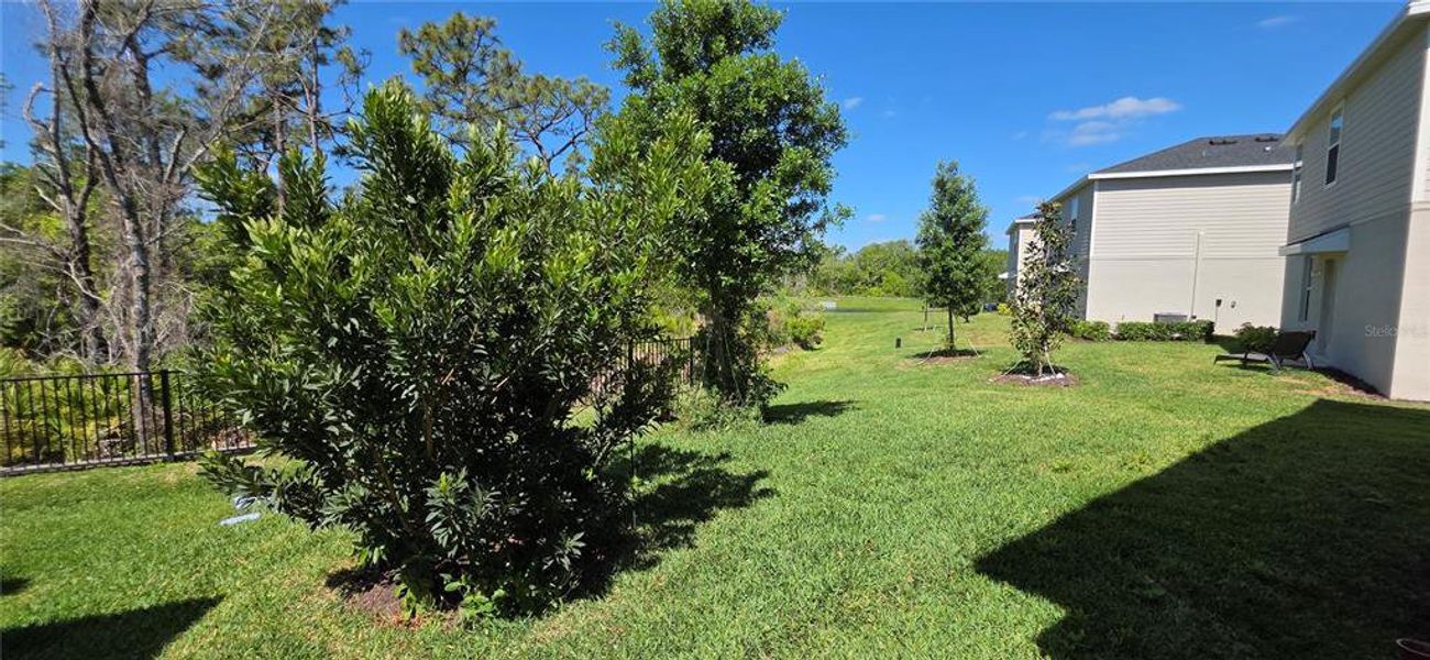 Natural landscape and outdoor views near in Bradenton (Image 5). Natural landscape and outdoor views near in Bradenton (Image 5).