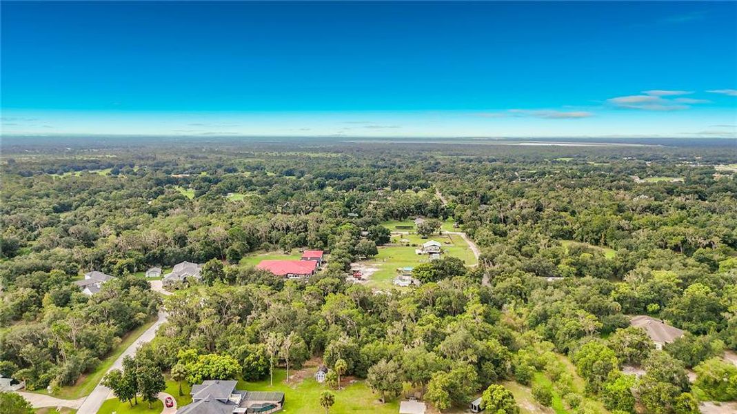 Natural landscape and outdoor views near  in Lithia (Image 32).