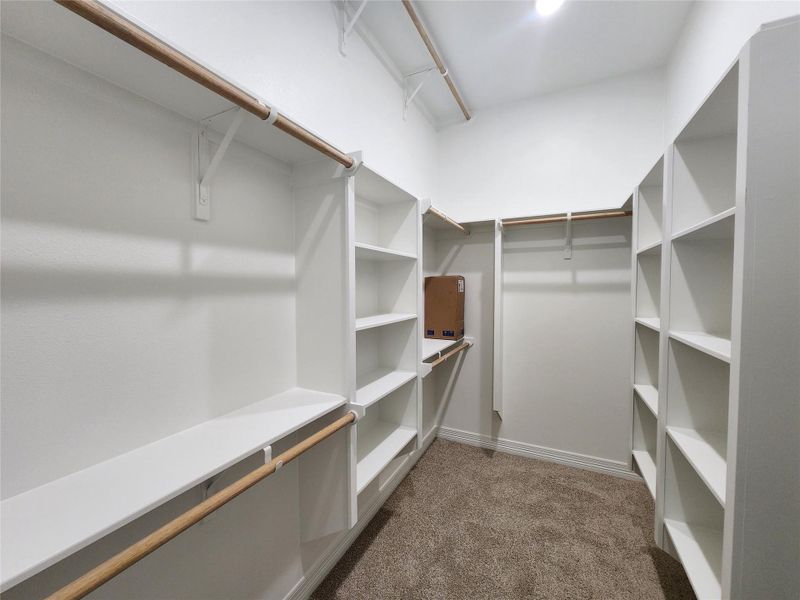 Walk-in closet featuring built-in shelving, hanging rods, carpet flooring, and recessed ceiling lighting