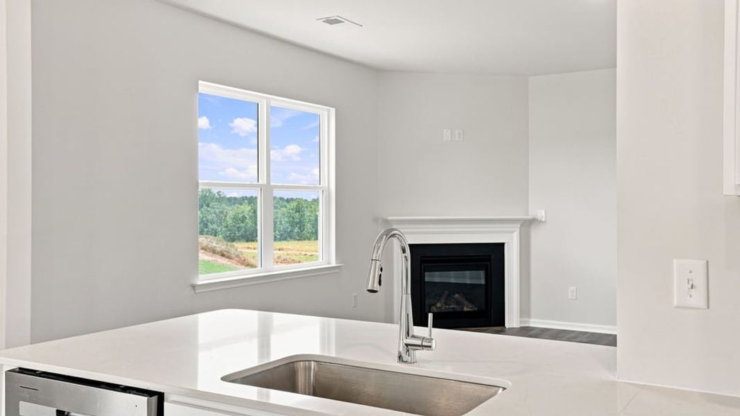 Close-up of interior finishes inside a home in Chestnut Ridge, Greenville (Image 14).