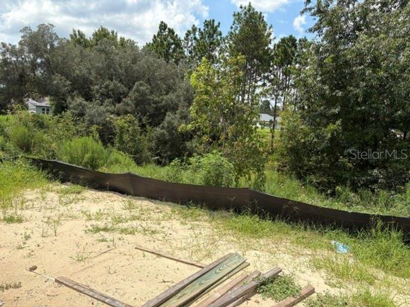 Natural landscape and outdoor views near Juliette Falls in Dunnellon (Image 14). Natural landscape and outdoor views near Juliette Falls in Dunnellon (Image 14).
