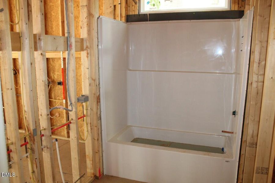 IMG_7544 (Medium) IMG_7544 (Medium)